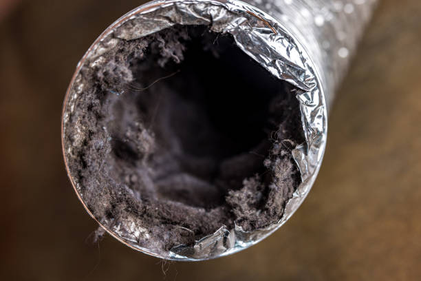 Best HVAC System Cleaning  in Biloxi, MS