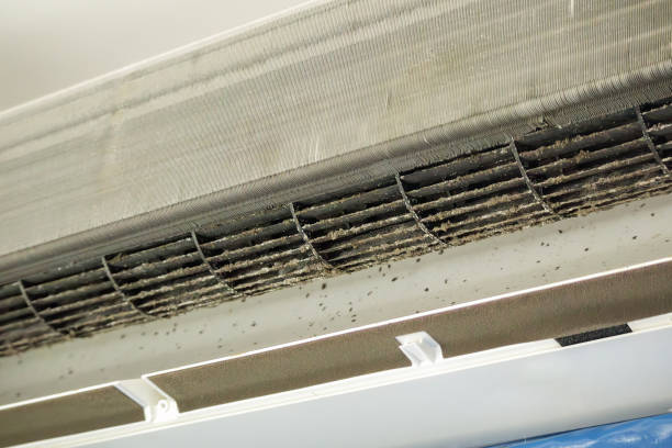 Best Ventilation Cleaning Services  in Biloxi, MS